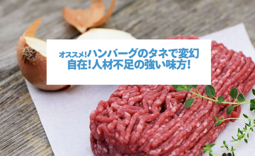 加工食品のOEMをお考えなら オススメ！ ハンバーグのタネで変幻自在！人材不足の強い味方！